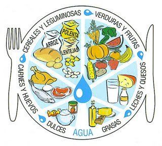 En Educa nos preocupamos por la alimentación de nuestros niñ@s, ya que consideramos que será la base para convertirse en personas sanas y fuertes, y así tengan la energía necesaria para realizar todas las actividades que se les presentan en su día a día